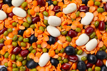 Colorful mixed beans and lentils, packed with plant-based protein and fiber