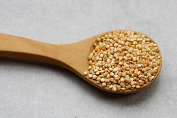 Raw quinoa seeds in a bowl.