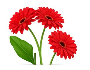 Three red gerbera daisies with a vibrant green leaf against clean backdrop