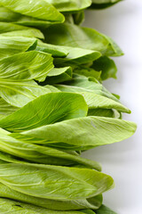 Fresh bok choy on white background.
