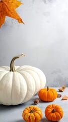 Autumnal pumpkins on a textured surface