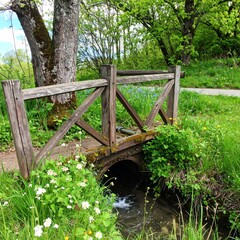 Wooden bridge over a stream in a garden