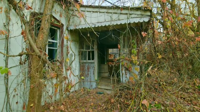 Footage captures the eerie beauty of an abandoned house in Krasne Village, located within the Chernobyl Exclusion Zone near Pripyat, Ukraine. Overgrown with vibrant autumn foliage, the dilapidated str
