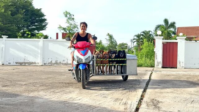 Volunteer riding motorcycle with sidecar full of adopted dogs