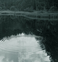 Japanese Forest Lake