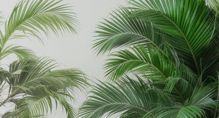 Tropical Palm Leaves, Lush Greenery Background, Summer Foliage, Nature Texture, Plant Pattern, Green Leaves, Exotic Plants, Vacation Vibes, Wallpaper Design, Natural Decor, Botanical Illustration