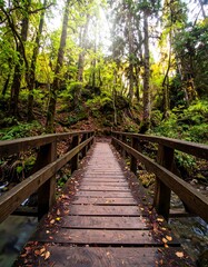 Wooden bridge through a vibrant autumn forest