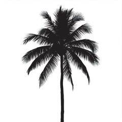 A single coconut tree silhouette 