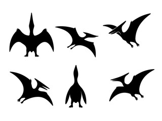 Pteranodon Silhouette Set Illustration