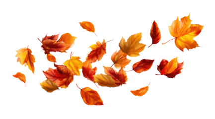 Autumn leaves swirling in the wind.  Vibrant orange and red leaves, detailed design, against black background