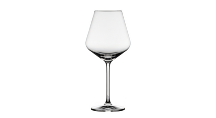 Elegant crystal wine goblet spotlighted darkly