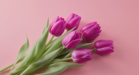 Obraz premium Pink Tulips Bouquet on Pink Background Spring Flowers, Floral Arrangement, Close-up Photography