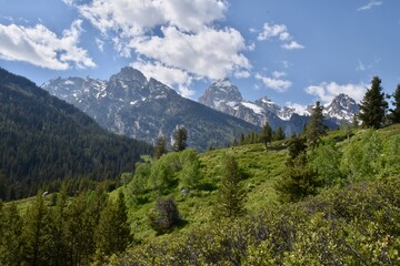 Fototapeta premium mountains with snow capped peaks and trees on a sunny day