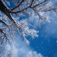 Snowy branches reaching towards a vibrant blue sky during a winter snowfall, creating a peaceful and serene landscape scene