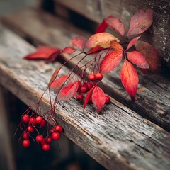 Autumn Red Berries and Leaves on Rustic Wood Bench