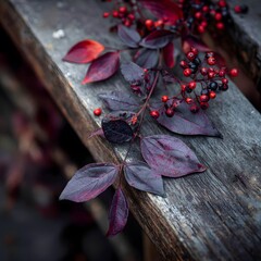 Dark Red Berries and Leaves on Weathered Wooden Surface