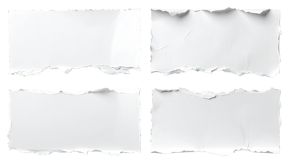 Four rectangular pieces of ripped white paper.  Each piece has uneven edges and a slightly crinkled texture