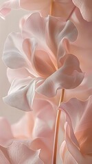 Delicate Pink Flowers for Close-Up Studio Shot.