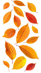 Fototapeta premium Autumn leaves, vertical arrangement, vibrant colors