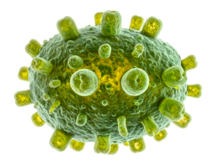 Oval green virus particle with surface protrusions, detailed contagious pathogen model, high-contrast macro 3D render on isolated background