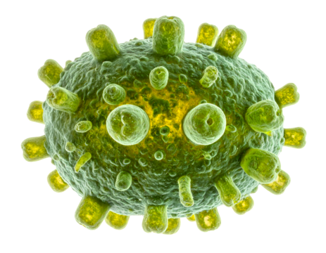 Oval green virus particle with surface protrusions, detailed contagious pathogen model, high-contrast macro 3D render on isolated background - Powered by Adobe