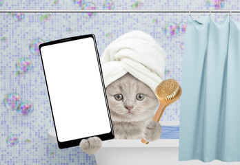 Cute tiny kitten with towel on it head takes the bath at home and shows shower brush and big...