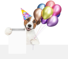 Funny jack russell terrier puppy wearing party cap holding balloons above blank white banner and...