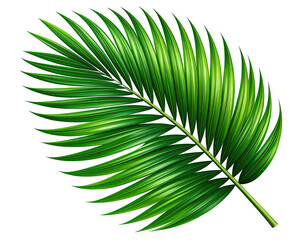 Obraz premium Vibrant green palm frond, detailed veins