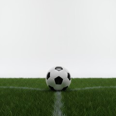Naklejka premium Soccer ball on the field, classic design, white background, sports equipment, game, competition