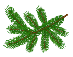 Detailed illustration of a stylized fir branch.  A vibrant green fir bough with  fine needles and a brown stem is set against a black background.  Sparkling highlights accentuate the needles