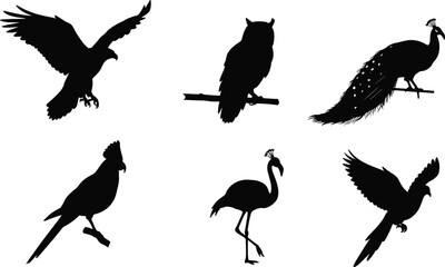 Silhouettes of various birds including eagle flying, owl perched, peacock, parrot, flamingo, exotic birds on branches, isolated white background.