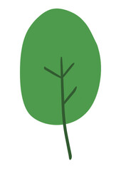 Green leaf png clipart.Leaf isolated on transparent background.Nature icon element.