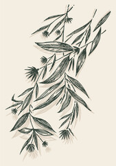 Obraz premium Stylized illustration of a plant in free and loose lines. Sketch-style art.