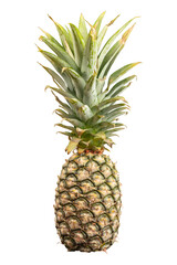 Whole fresh pineapple isolated on a transparent background