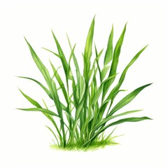 Obraz premium an AI Image Generator, Detailed Artistic Illustration of Wheat Plants
