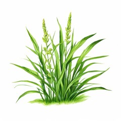 Obraz premium an AI Image Generator, Detailed Artistic Illustration of Wheat Plants