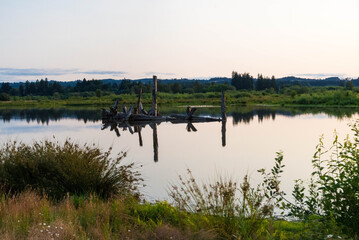 Wetland area with large still body of water reflecting some small tress in the distance and the tall shadows of dead tree trunks in the water on a clear day. 
