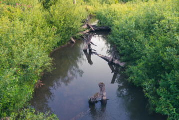 Side view of small waterway, dotted with dead tree trunks, cutting through lush green foliage with the leaves reflecting off the still surface of the water. 