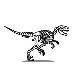 Velociraptor skeleton illustration, detailed bones, prehistoric reptile, running pose.