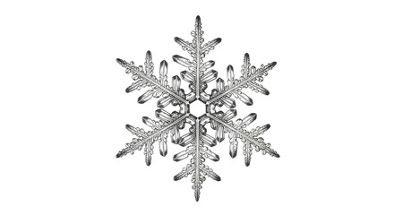Detailed snowflake close-up for winter and holiday concepts isolated PNG with Transparent Background