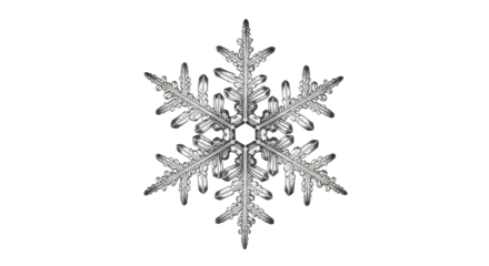Detailed snowflake close-up for winter and holiday concepts isolated PNG with Transparent Background