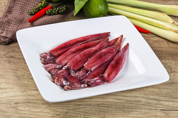 Raw fresh squids for cooking