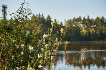 jezioro, zalew, woda, zbiornik wodny, kąpielisko © Marcin Łazarczyk