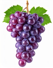 Fototapeta premium Close Up of a Bunch of Purple Grapes with Green Leaves on a White Background