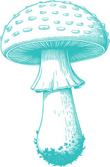 Vintage Teal Fly Agaric Mushroom Illustration Graphic. A Rustic Nature-themed Design for Cottagecore