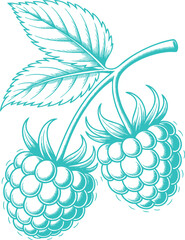Vintage Teal Raspberries Twig Illustration Graphic. A Rustic Nature-themed Design for Cottagecore