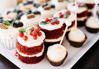 Group of many small tasty little sweet snacks, tiny cakes. Lots of mini sugary cupcakes