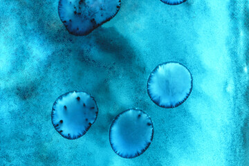 Microlife