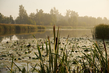 mgła,poranek,jezioro, zalew, woda, zbiornik wodny, kąpielisko © Marcin Łazarczyk