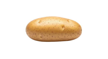 Single raw potato for food photography isolated PNG with Transparent Background